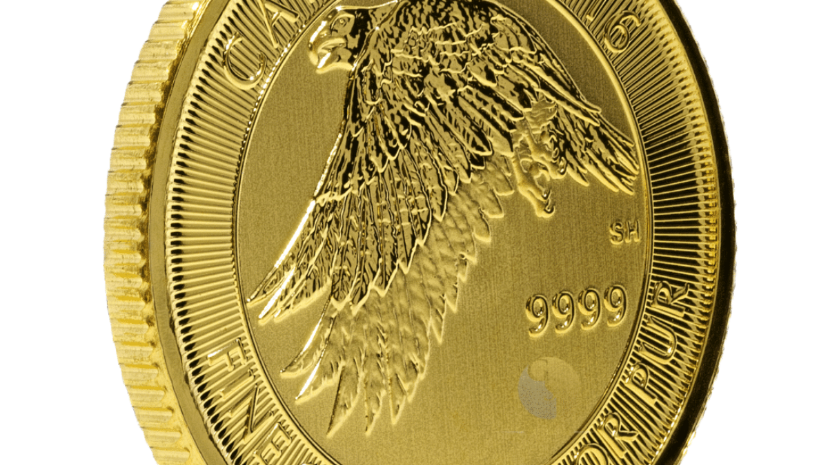 Gold Canadian Gyrfalcon Coin - 1/4 Ounce - GSI Exchange