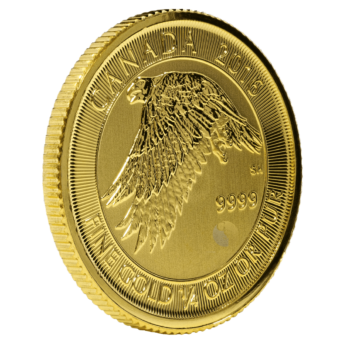 Gold Canadian Gyrfalcon Coin - 1/4 Ounce