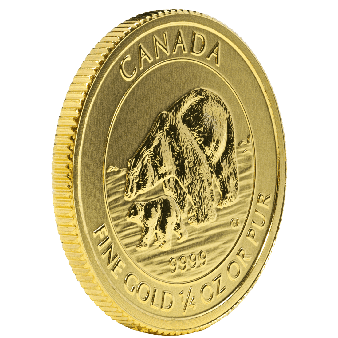 Gold Canadian Polar Bear Cub 1 4 oz Gem BU 2015 GSI Exchange gold-canadian-polar-bear-cub-1-4-oz-gem-bu-2015-gsi-exchange