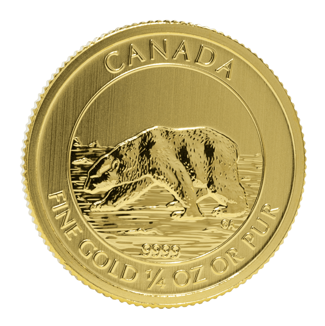 Gold Canadian Polar Bear 1/4 Ounce Coin