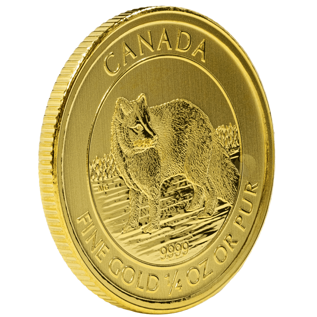 Gold Canadian Arctic Fox 1/4 Ounce Coin