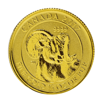Gold Canadian Big Horn Sheep 1/4 Ounce Coin