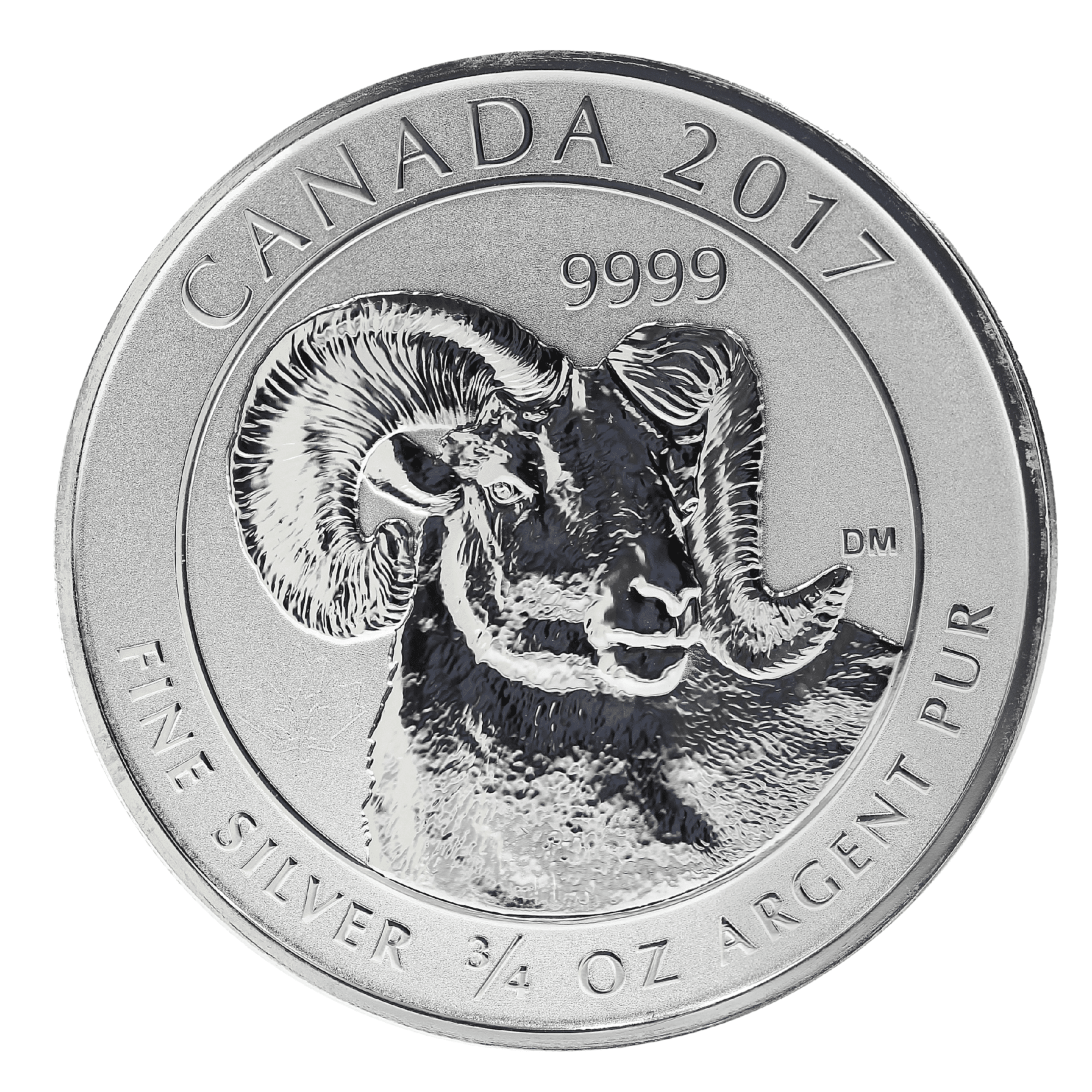 BigHornwebweb2-4000x4000.png