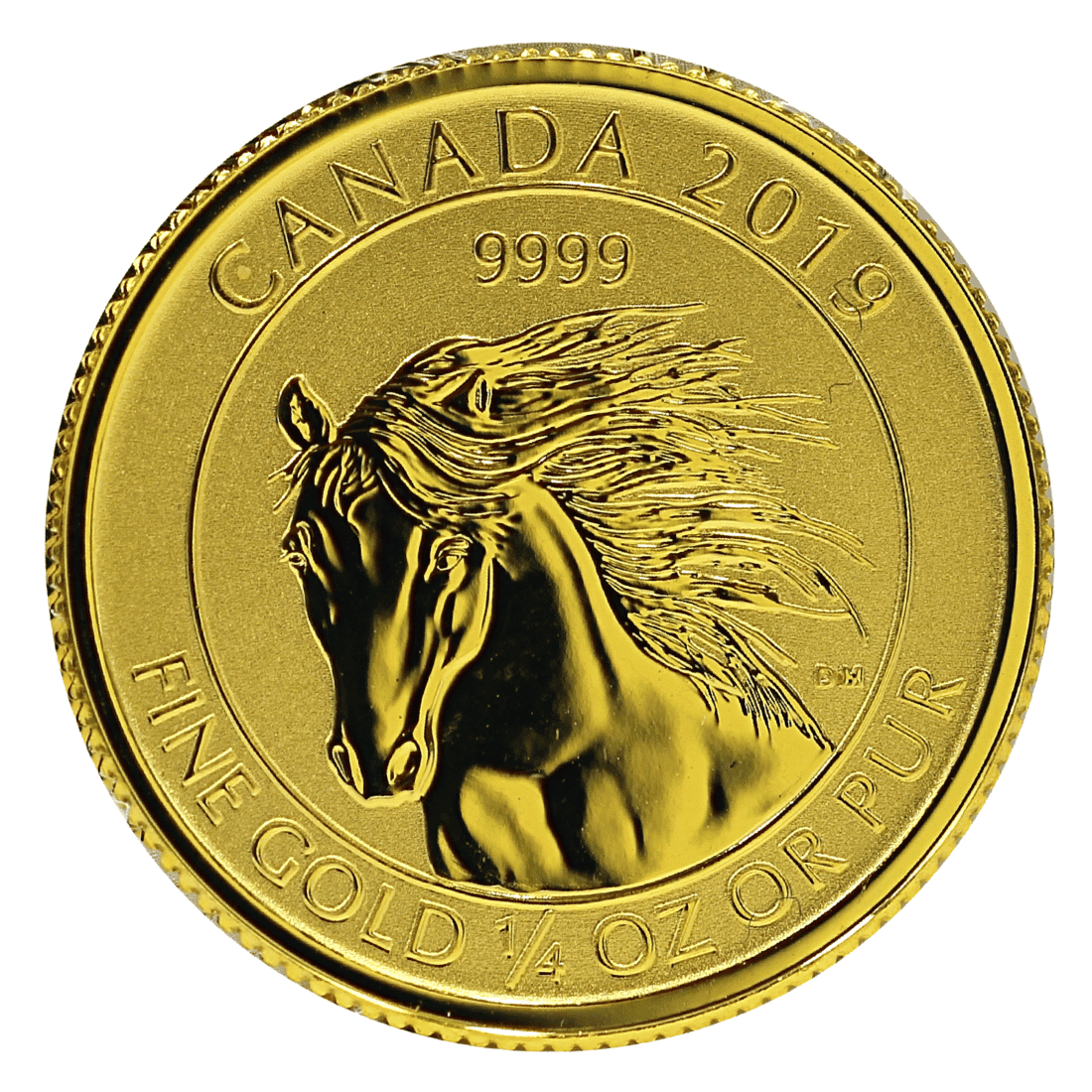 Gold Canadian Wild Horse 1/4 Ounce Coin