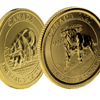 Gold Canadian Majestic Bull and Arctic Bear Coin Set