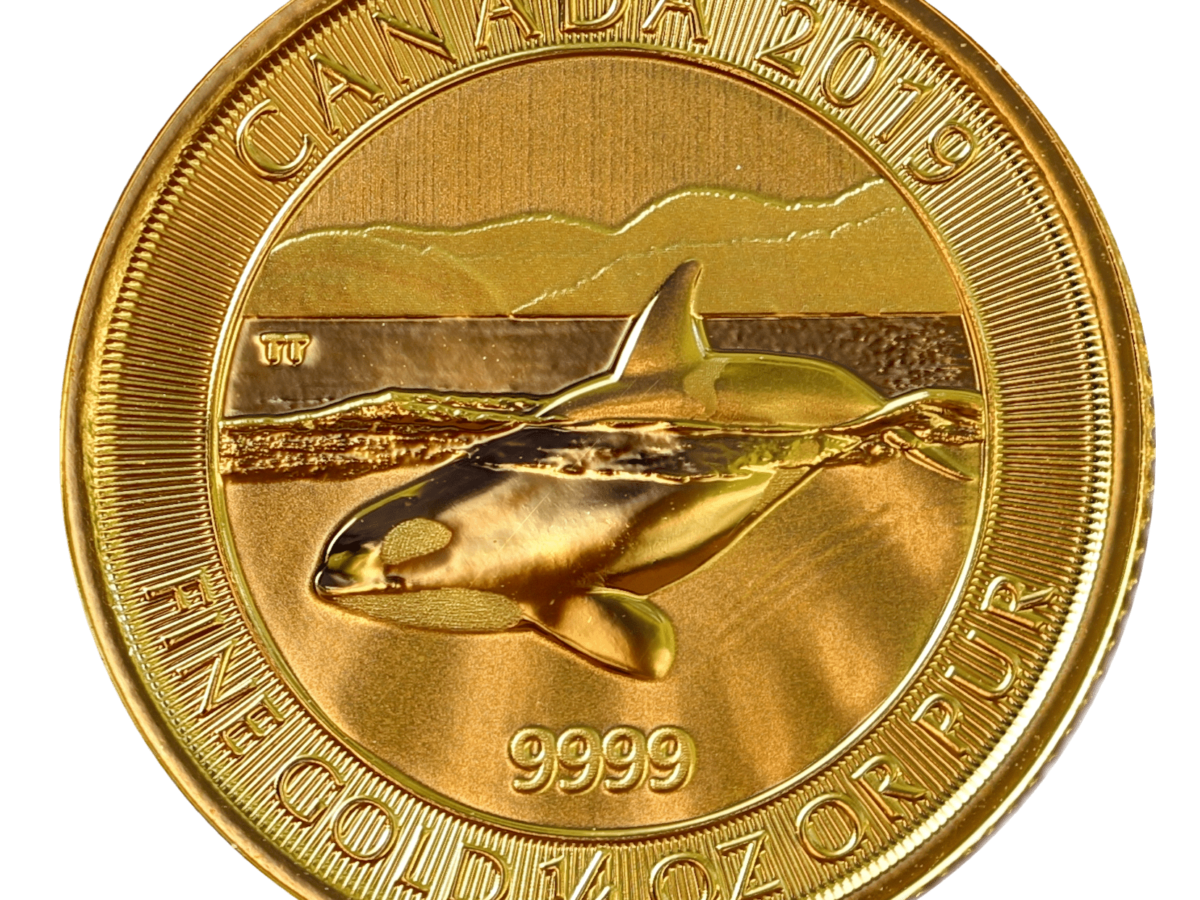 Gold Canadian Orca Coin 1 4 Ounce GSI Exchange