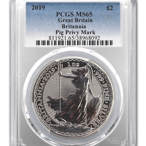 MS65PigPrivy-500x500.png