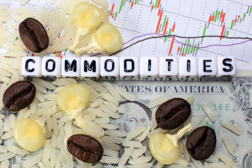 commodities new world order