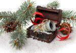 Retro,Chest,Of,Bills,,A,Branch,Of,Fir,Tree,And